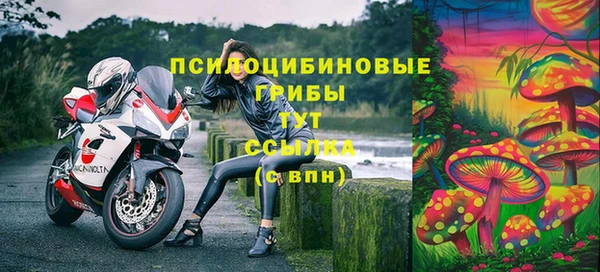 хмурый Россошь
